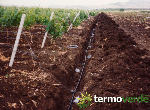 Impianto Micro - Irrigazione