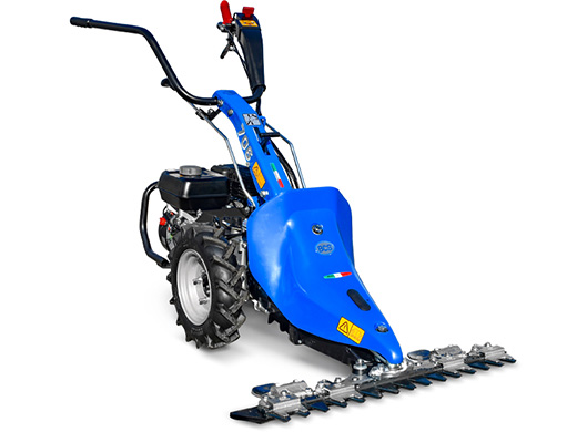 BCS 706
